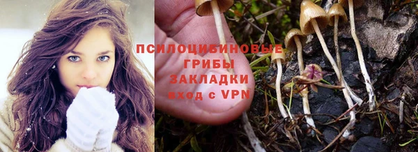 амф Балахна