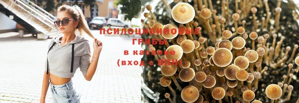 spice Балабаново
