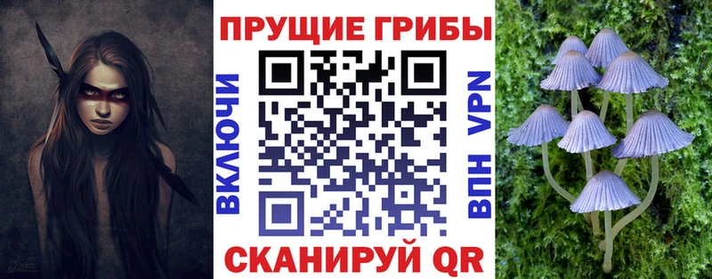 Галлюциногенные грибы ЛСД  Белореченск 