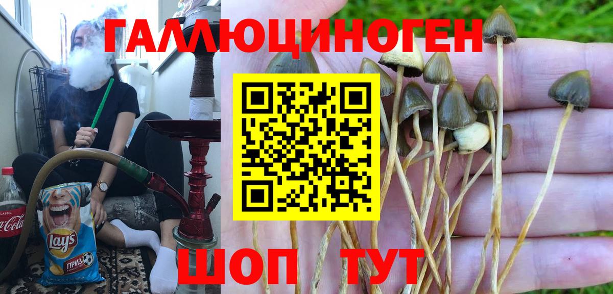 Псилоцибиновые грибы мухоморы  Галлюциногенные грибы Psilocybe  Белореченск  Вход с VPN 