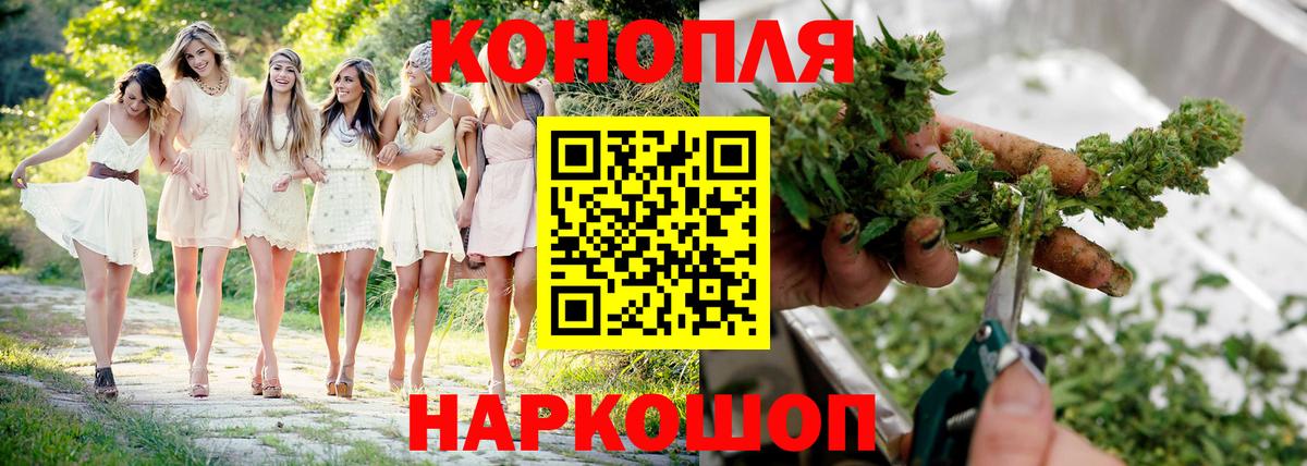 Марихуана конопля Белореченск